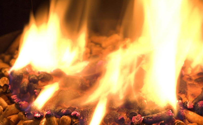 生物質(zhì)燃料顆粒