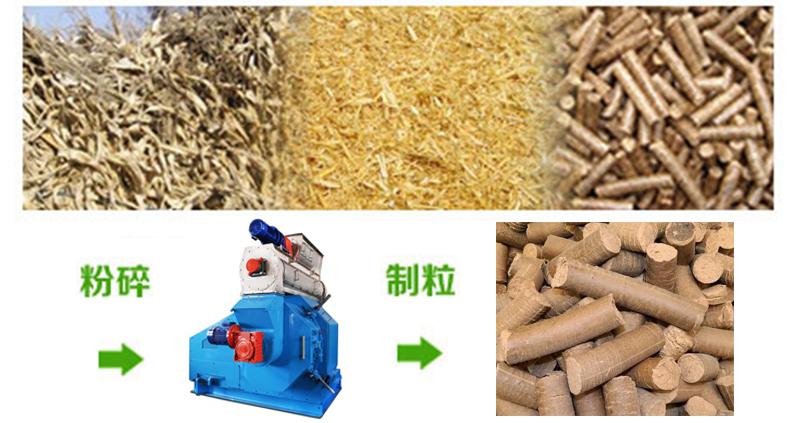 顆粒機保養(yǎng)