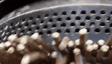 顆粒機(jī)環(huán)模